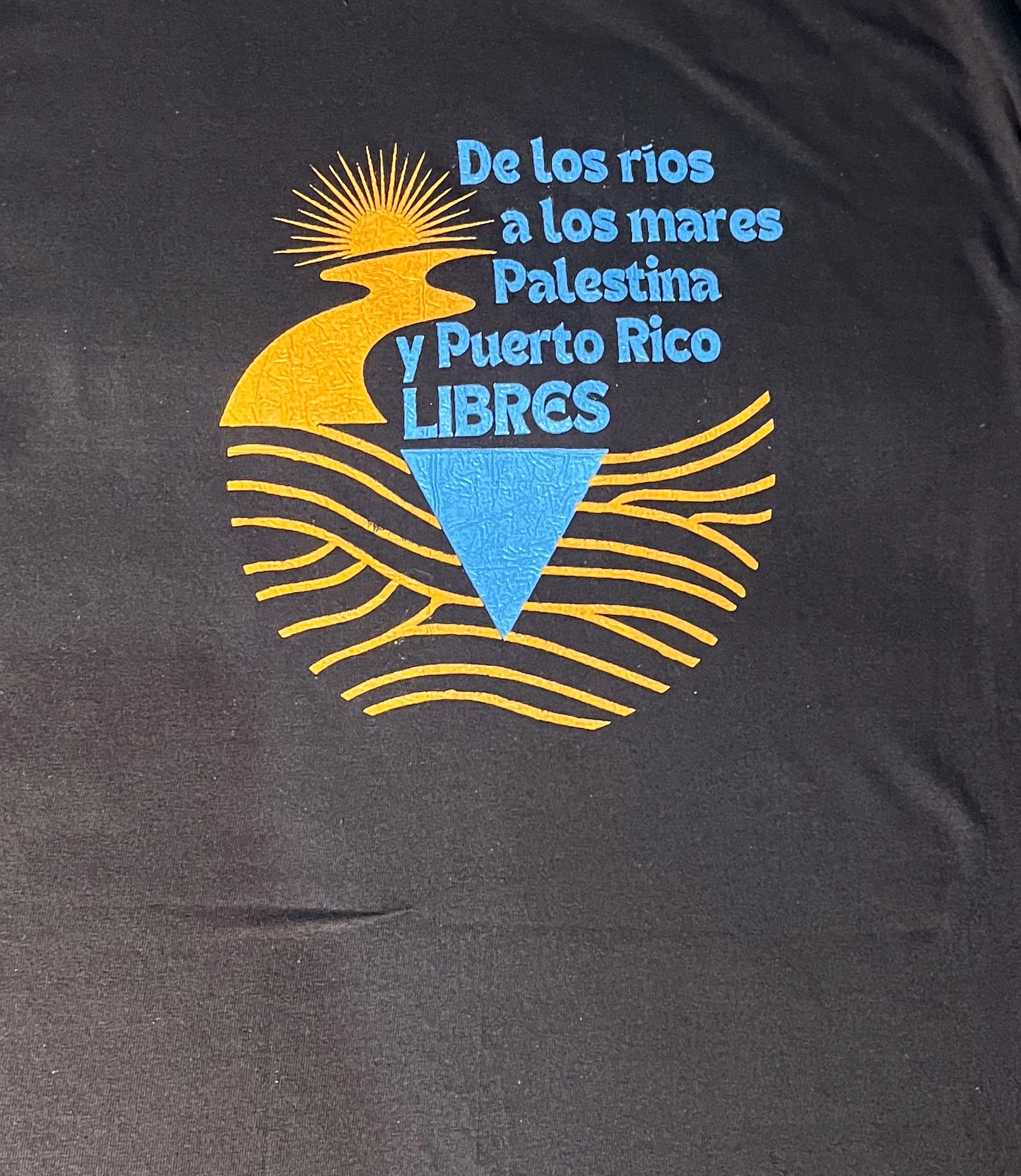 T shirt Palestina y Puerto Rico